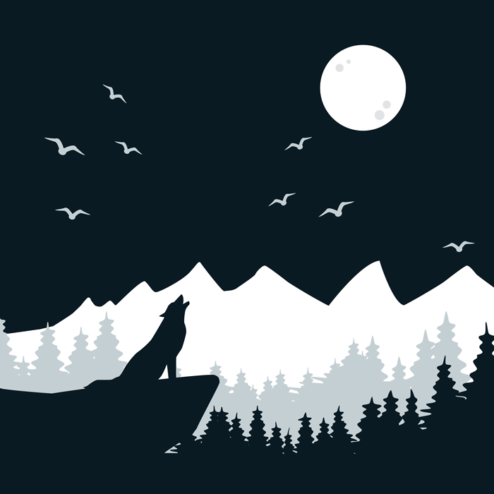 Pattern_jeansebastien